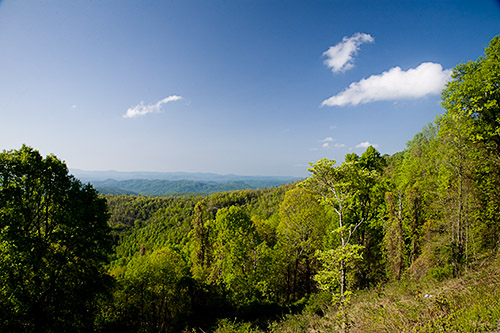 View of the Blue Ridge Mountains in NC