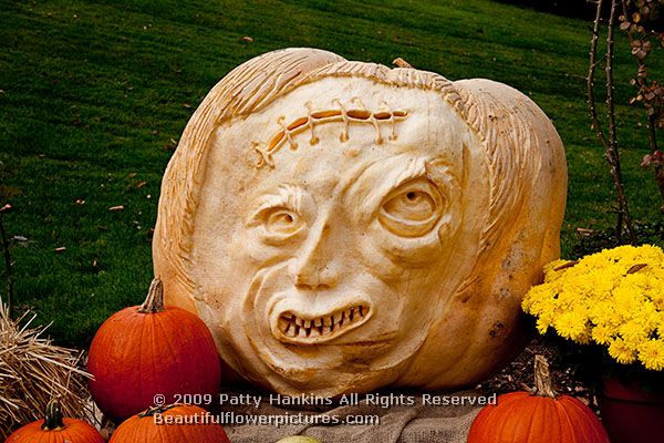 pumpkin_carving_1