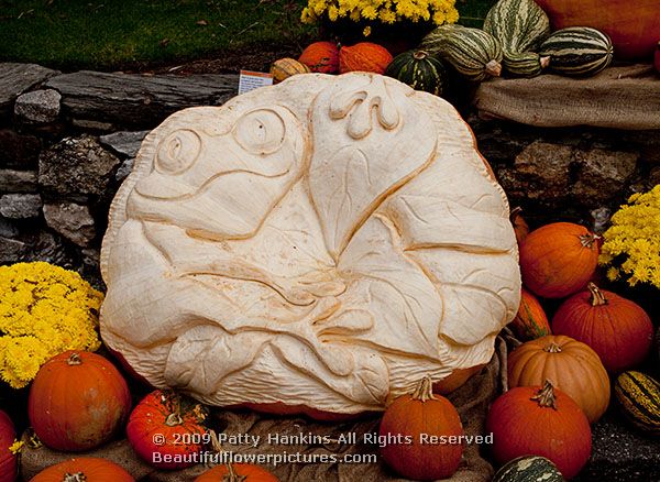 pumpkin_carving_5