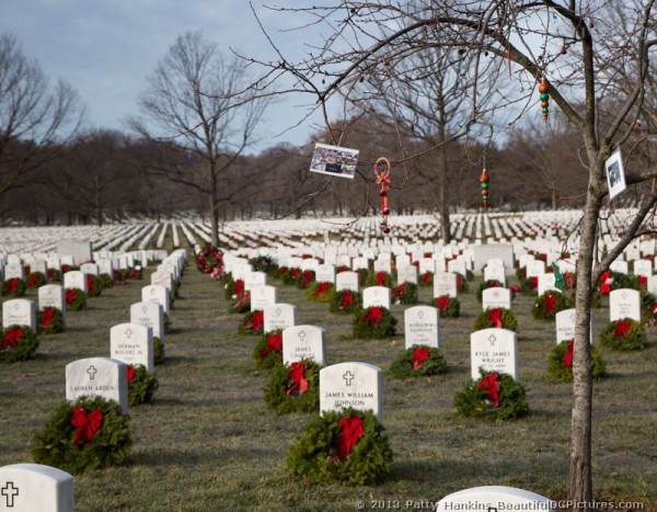 Wreaths in Section 60 of Arlington National Cemetery © 2013 Patty Hankins