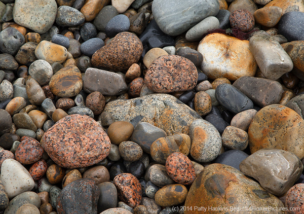 Rocks on the Shore © 2014 Patty Hankins