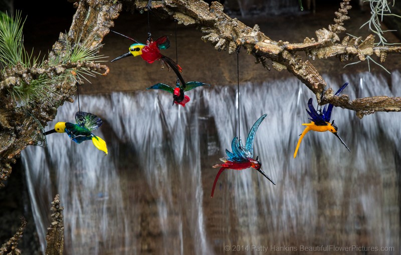 Birds in the Cascade Garden © 2014 Patty Hankins