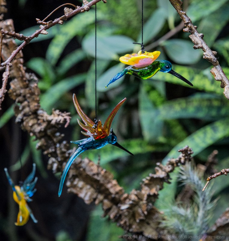 Birds in the Cascade Garden © 2014 Patty Hankins