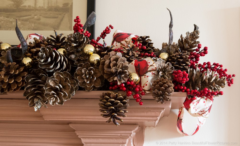 Christmas at du Pont House © 2014 Patty Hankins