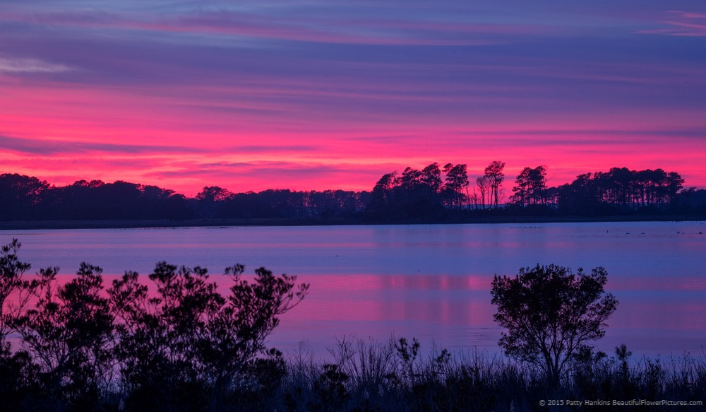 Sunset at Chincoteague NWR © 2015 Patty Hankins
