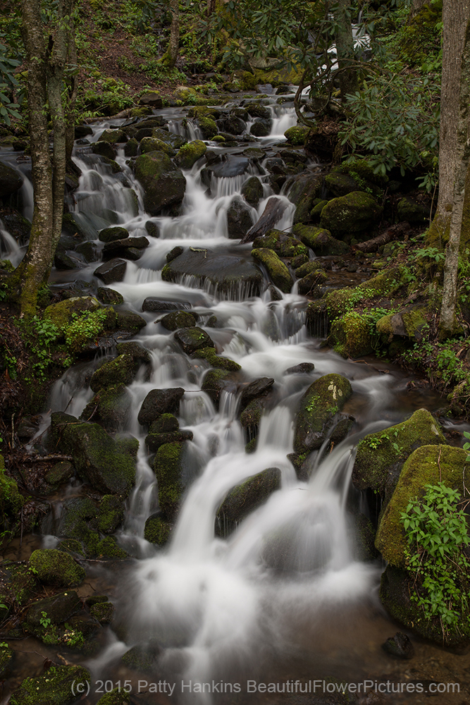 Smoky Mountain Stream © 2015 Patty Hankins