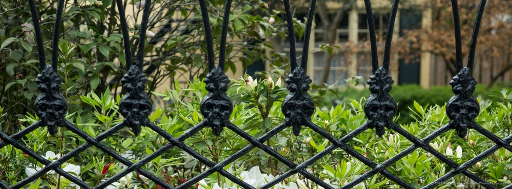 Wrought Iron Fence, Savannah, Georgia © 2015 Patty Hankins
