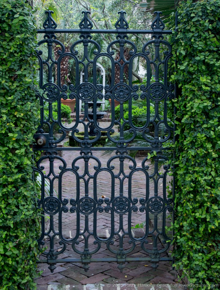 Wrought Iron Gate, Savannah, Georgia © 2015 Patty Hankins