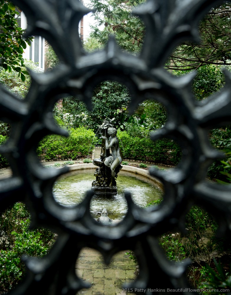 Looking Through the Wrought Iron Gate, Savannah, Georgia © 2015 Patty Hankins