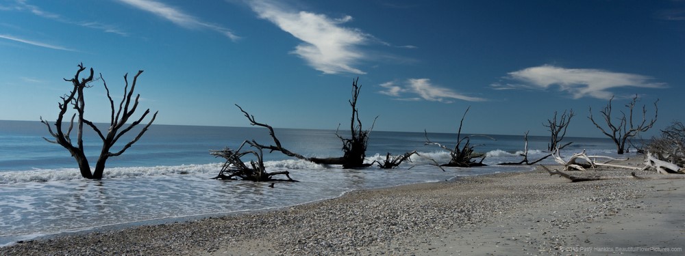 Boneyard Beach at Botany Bay © 2015 Patty Hankins