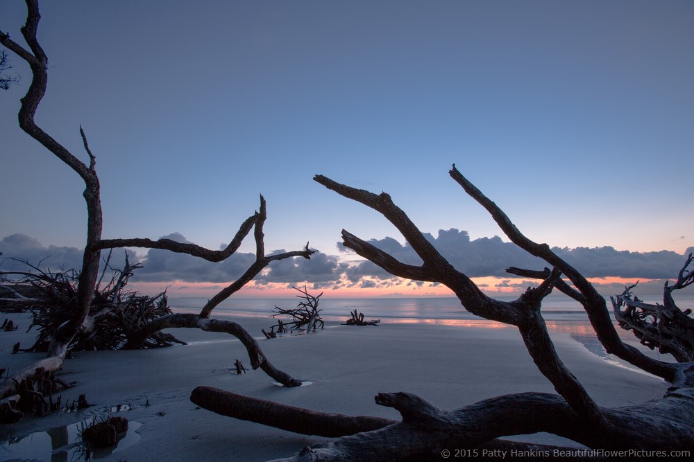 Sunrise at Hunting Island State Park © 2015 Patty Hankins