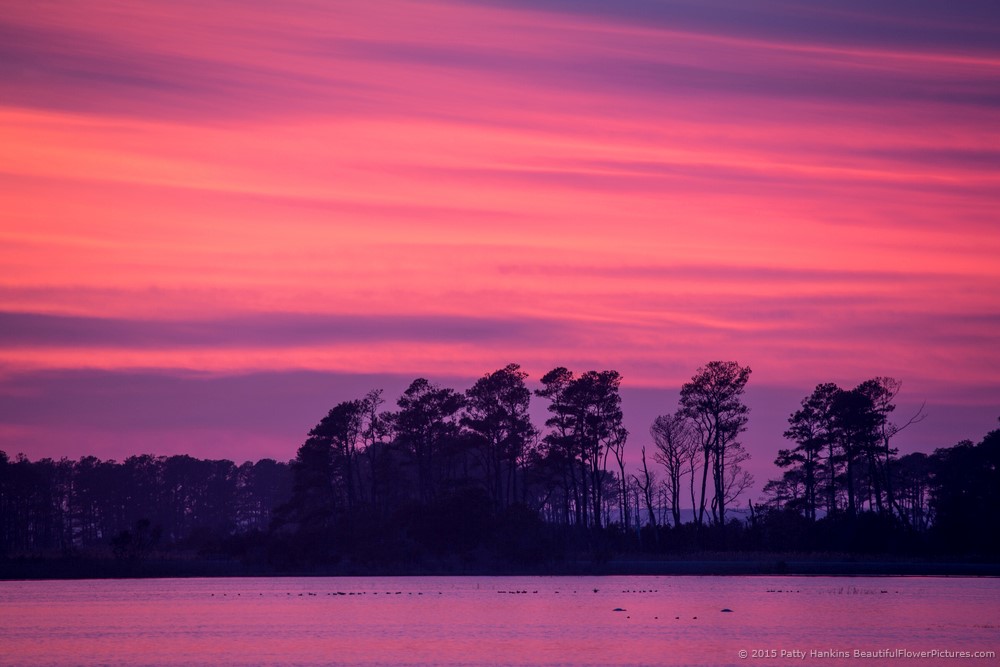 Sunset in the Marsh, Chincoteague NWR © 2015 Patty Hankins