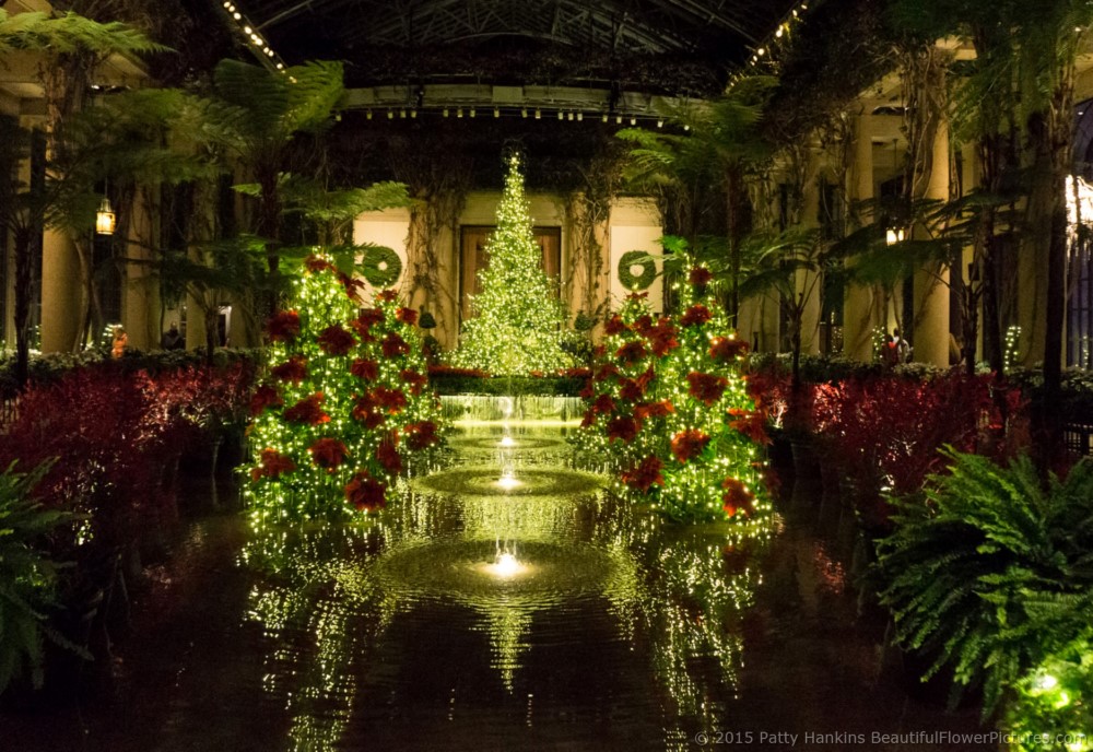 Christmas in the Exhibition Hall, Longwood Gardens © 2015 Patty Hankins