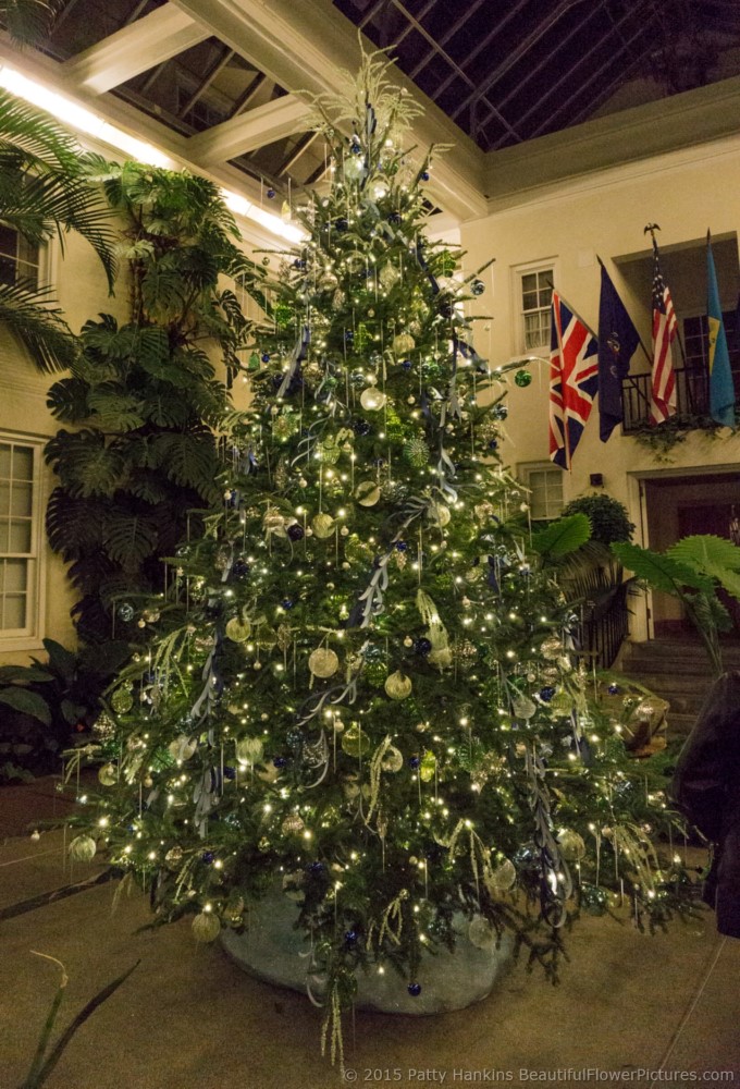 du Pont House Christmas Tree © 2015 Patty Hankins