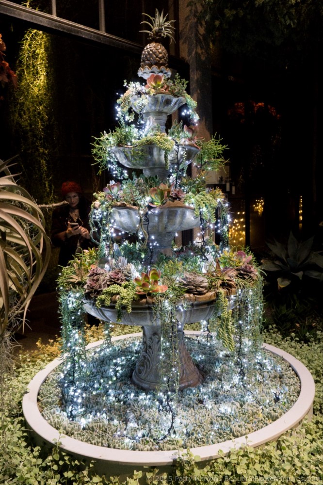 Christmas in the Silver Garden, Longwood Gardens © 2015 Patty Hankins