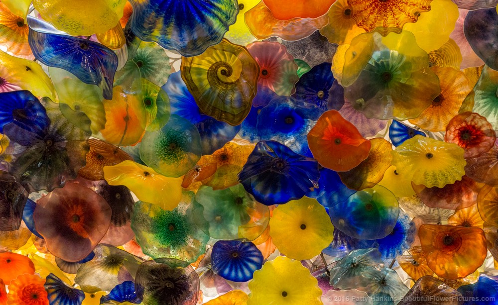 Chihuly Glass Ceiling at the Bellagio Hotel (c) 2016 Patty Hankins