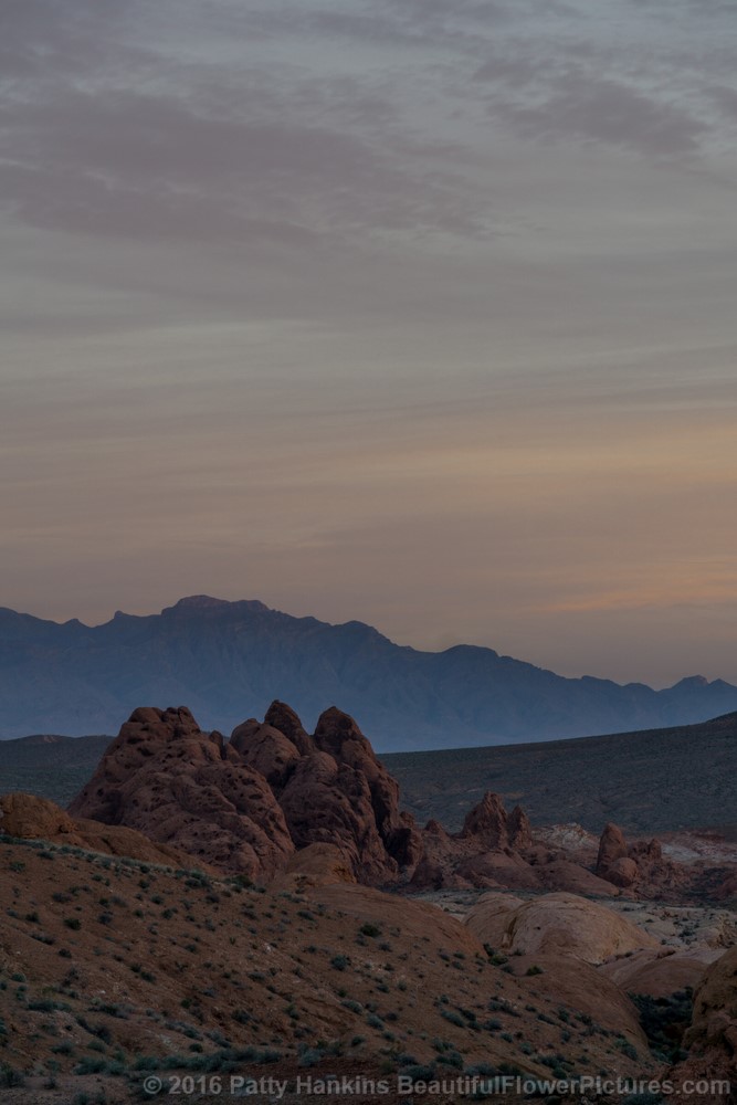 Sunrise at Valley of Fire State Park, Nevada (c) 2016 Patty Hankins