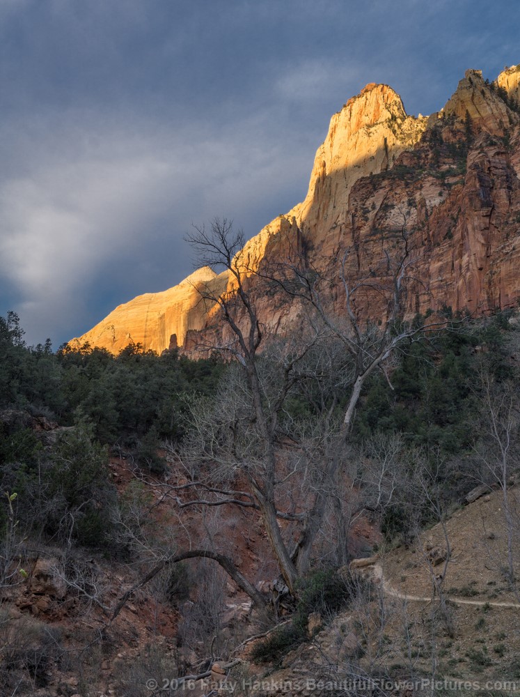 Court of the Patriarchs, Zion National Park (c) 2016 Patty Hankins