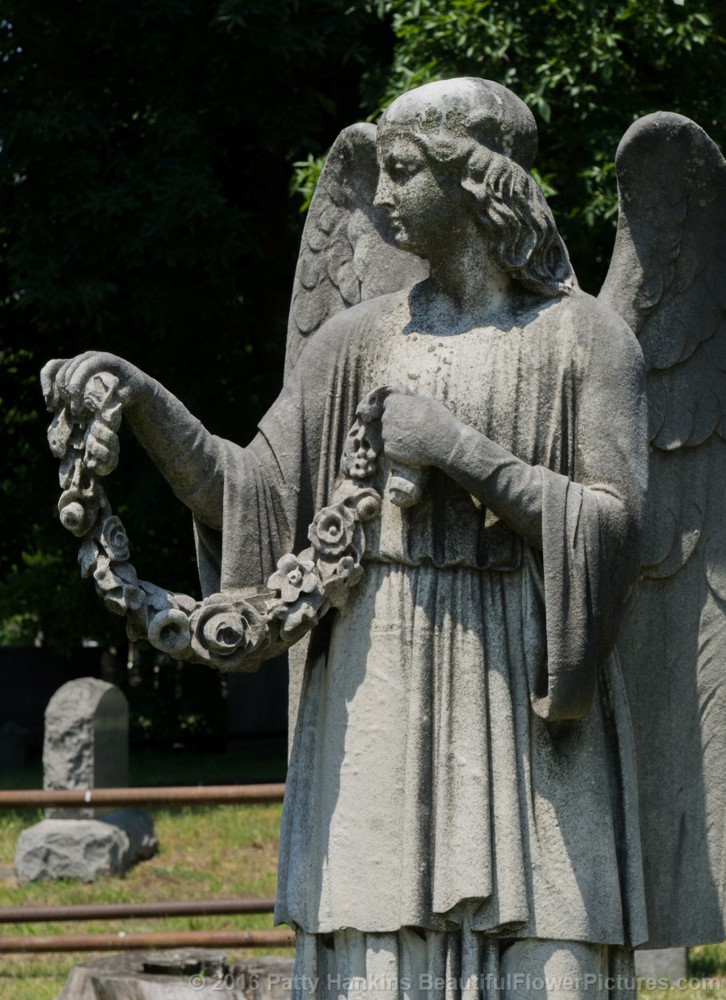 Angel in the Delavan Family Plot, Sleepy Hollow Cemetery © 2016 Patty Hankins