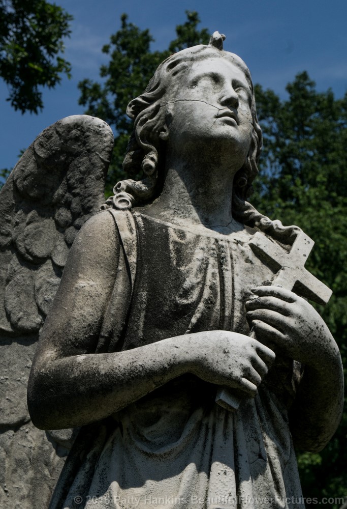 Angel in the Delavan Family Plot, Sleepy Hollow Cemetery © 2016 Patty Hankins