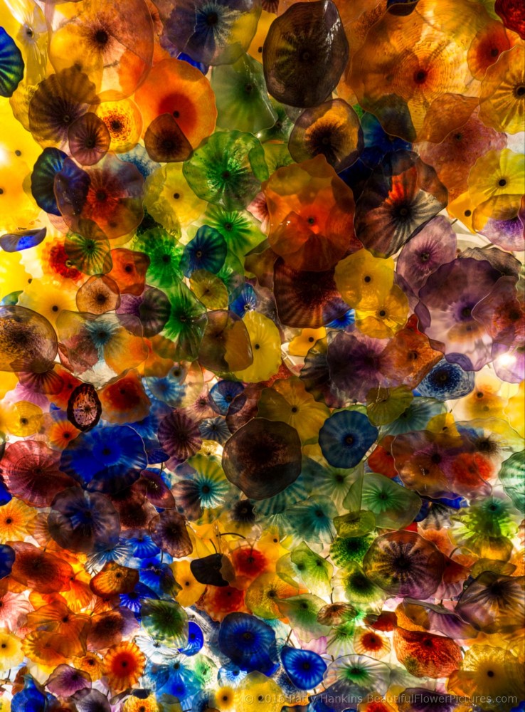 Chihuly Glass Ceiling at the Bellagio Hotel in Las Vegas © 2016 Patty Hankins
