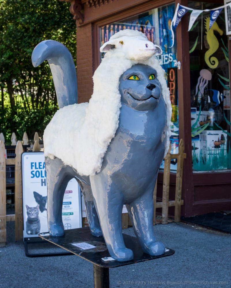Cat'n Around Catskill Cat © 2016 Patty Hankins 
