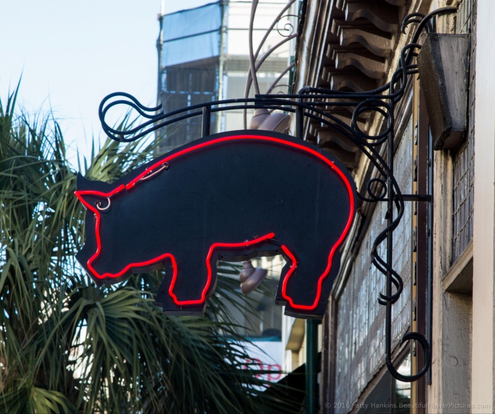 BBQ Pig Sign, Charleston, South Carolina © 2016 Patty Hankins