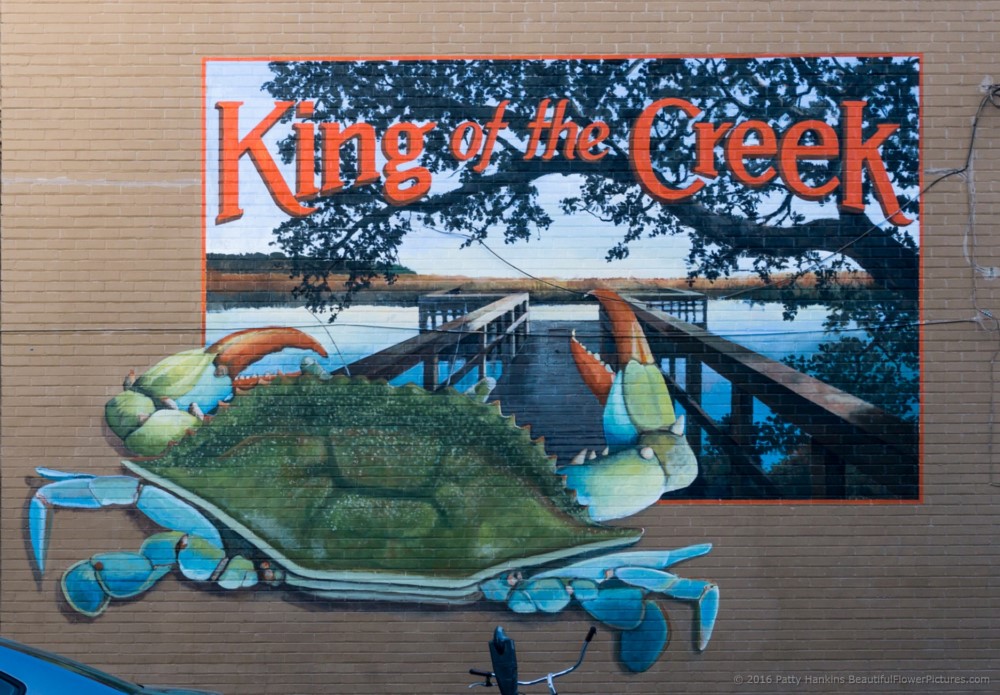 King of the Creek Sign, Charleston, South Carolina © 2016 Patty Hankins