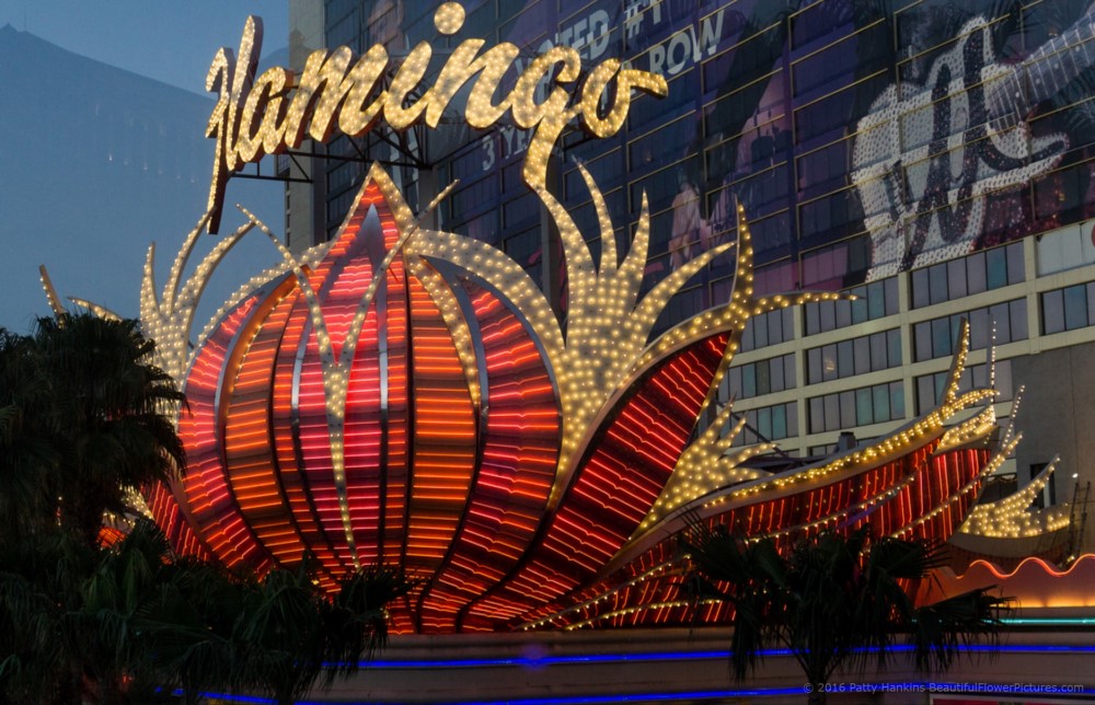 Lights at the Flamingo Hotel in  Las Vegas © 2016 Patty Hankins