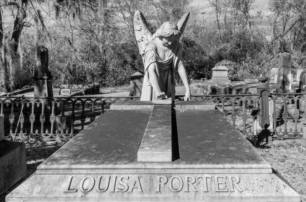 Louisa Porter Grave, Savannah, GA © 2017 Patty Hankins