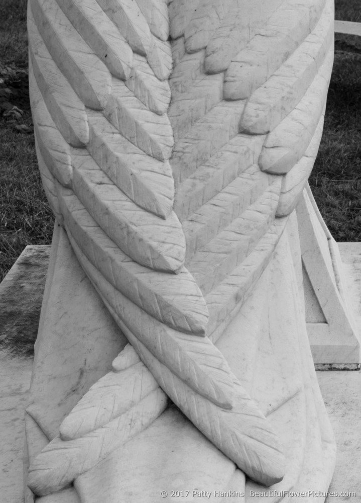 Cemetery Angel, Longwood Cemetery, Kennett Square, PA © 2017 Patty Hankins