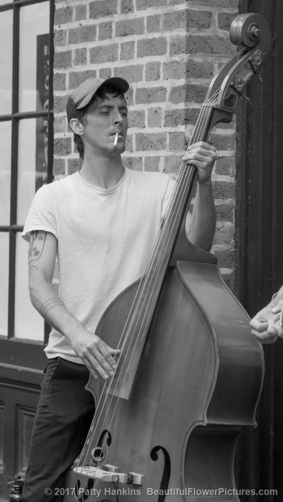 Bass Player, French Quarter, New Orleans © 2017 Patty Hankins