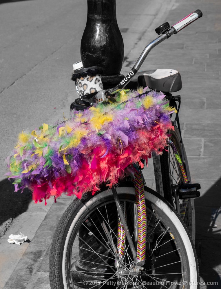 Colorful Bike Basket, New Orleans © 2017 Patty Hankins