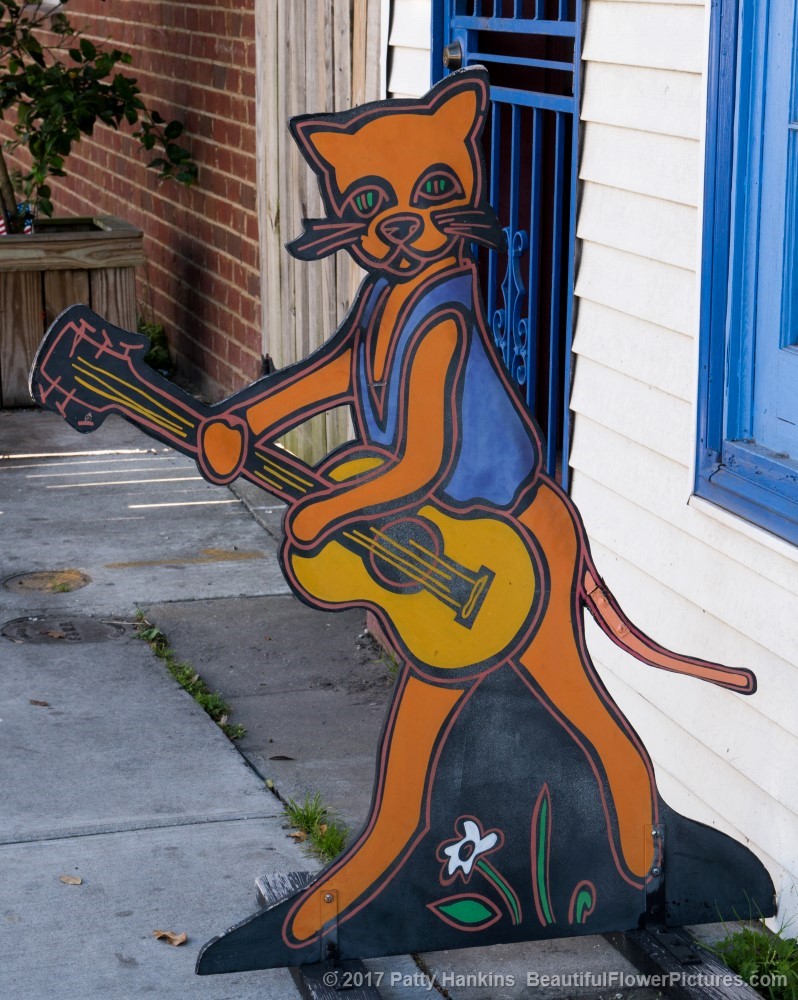 Cat with Guitar Sign, New Orleans © 2017 Patty Hankins