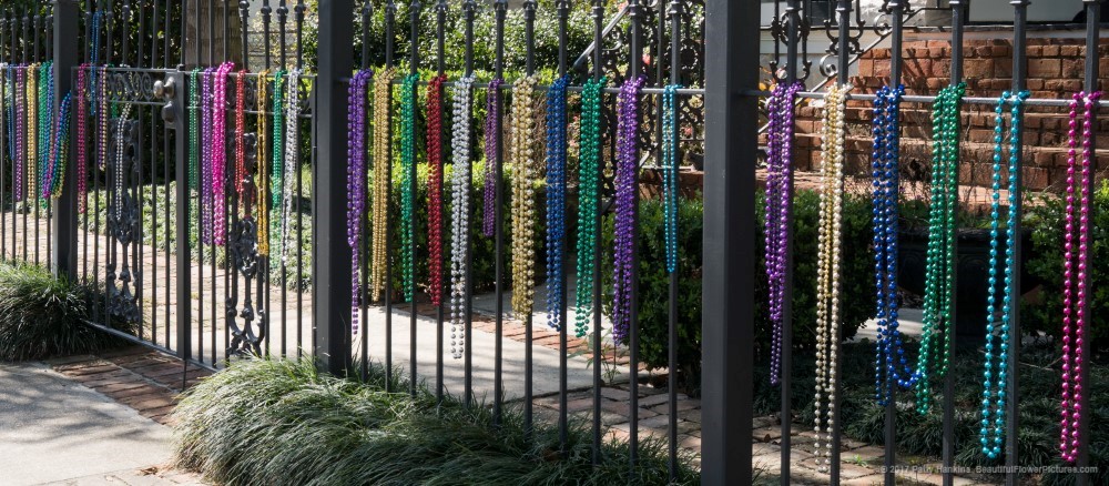 Mardi Gras Beads on a Fence, Garden District, New Orleans ©2017 Patty Hankins