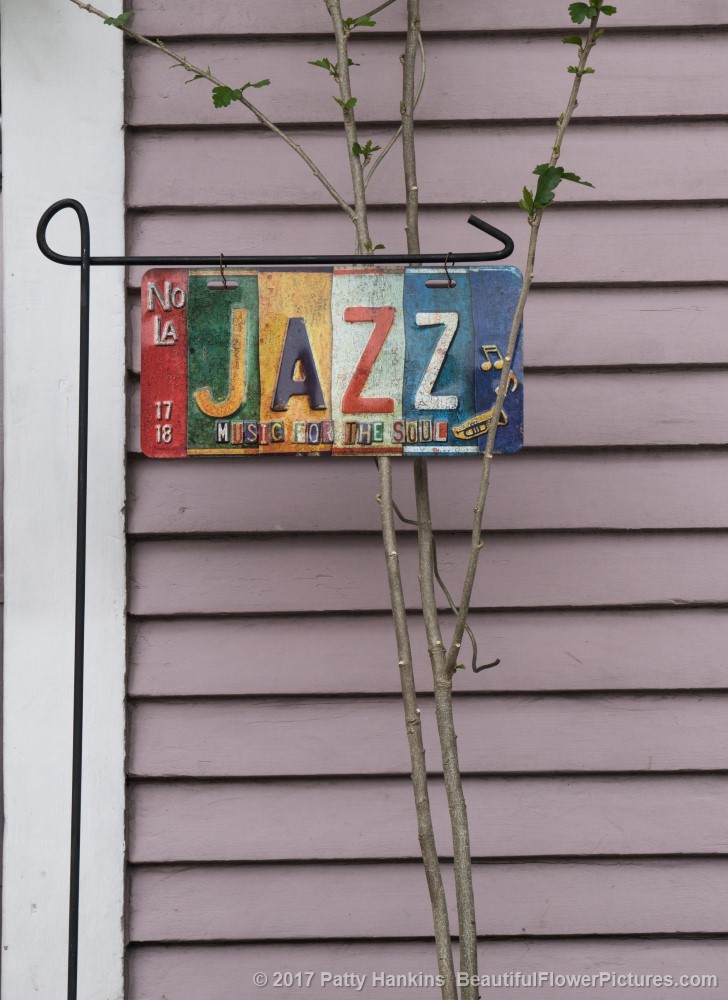 Jazz Sign, New Orleans © 2017 Patty Hankins