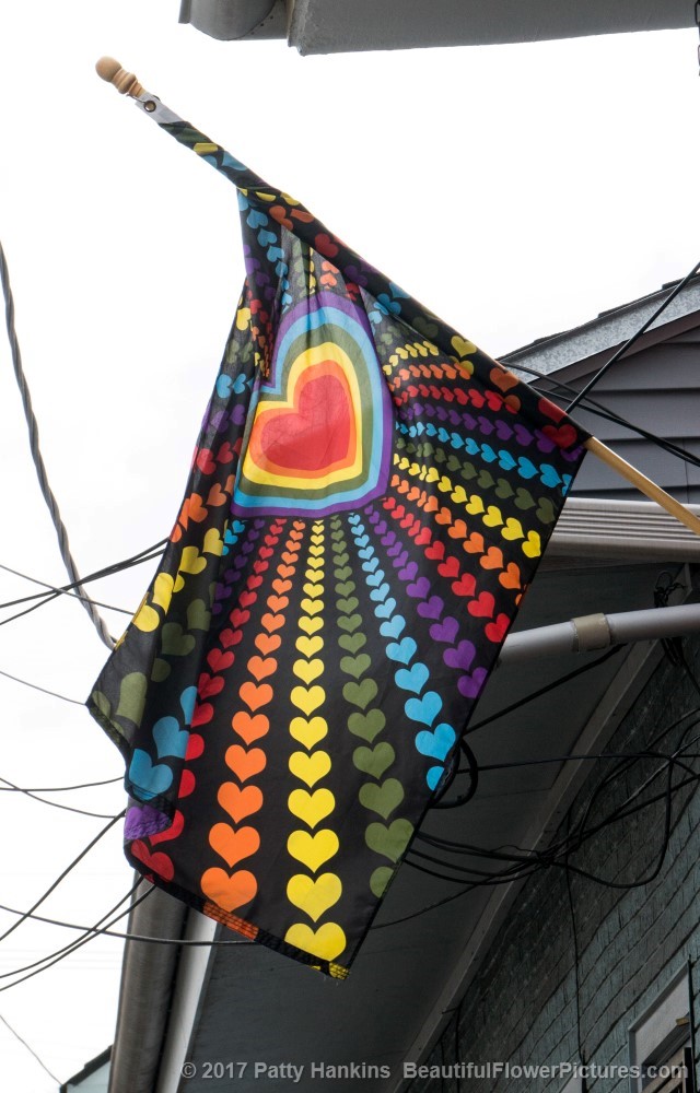 Rainbow Heart Flag, New Orleans © 2017 Patty Hankins
