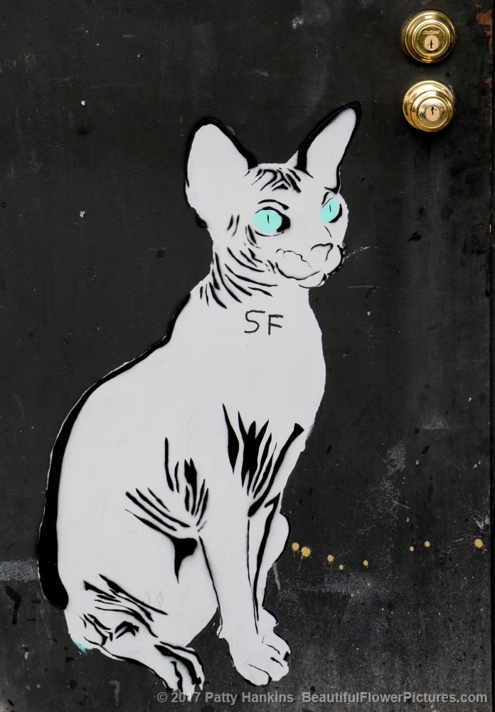 Cat Street Art, New Olreans © 2017 Patty Hankins