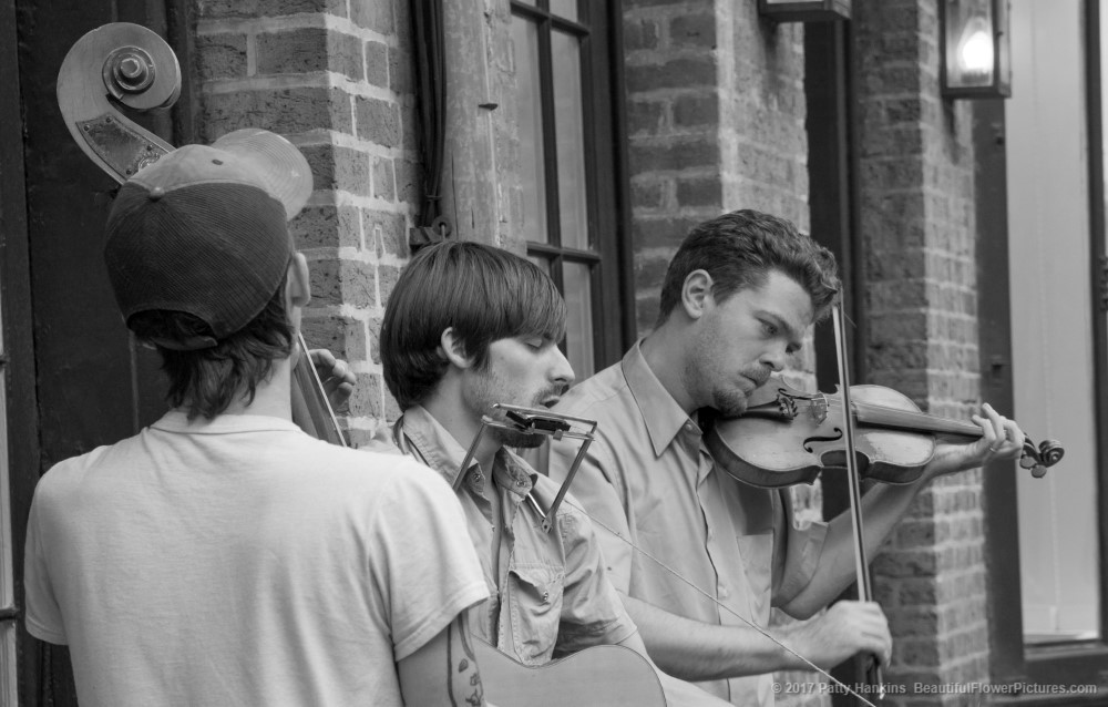 Musicians, French Quarter, New Orleans © 2017 Patty Hankins