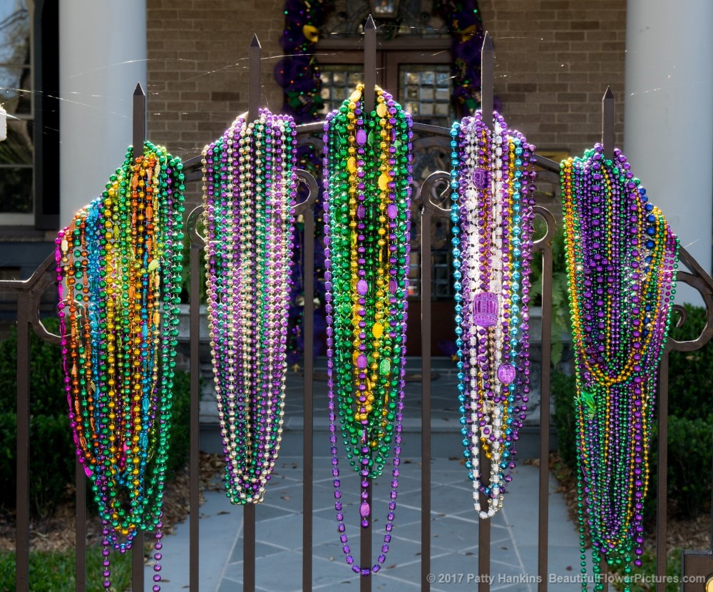 Garden District Fence Decorated for Mardi Gras, New Orleans © 2017 Patty Hankins