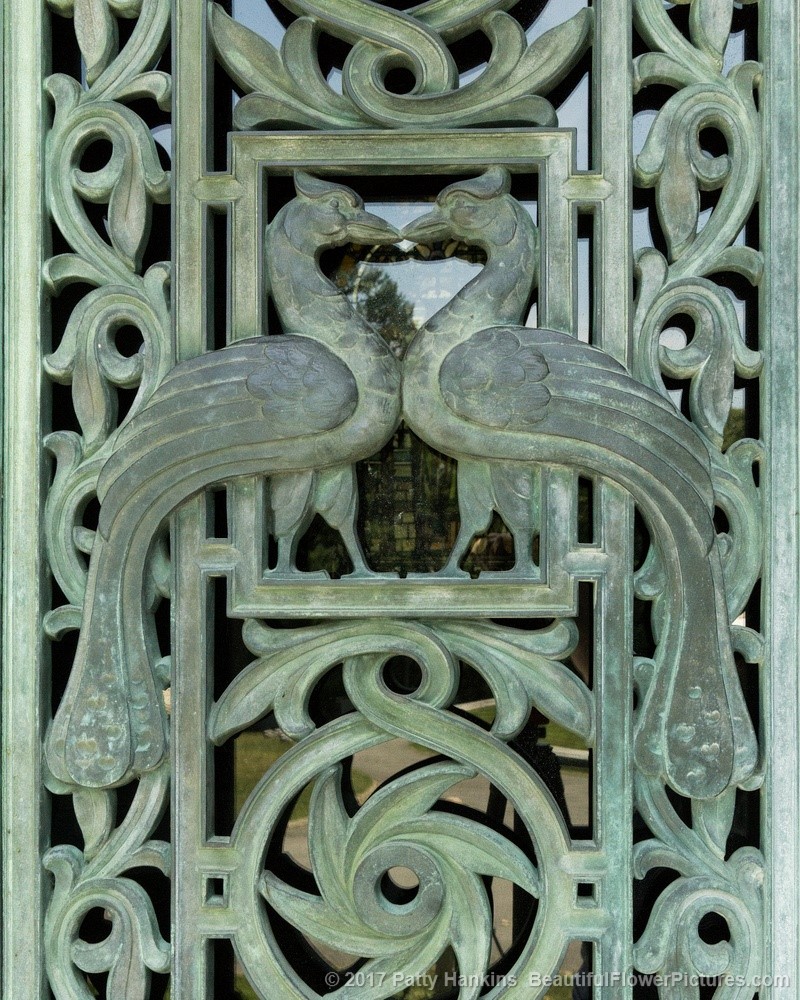 Peacock Ironwork Gate, Sleepy Hollow Cemetery, Sleepy Hollow, NY  © 2017 Patty Hankins