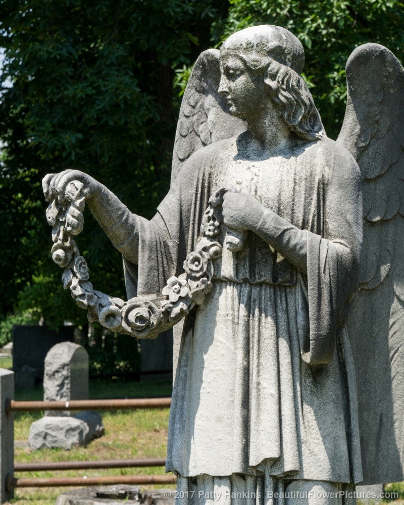 Graveyard Angel,  Sleepy Hollow Cemetery, Sleepy Hollow, NY  © 2017 Patty Hankins