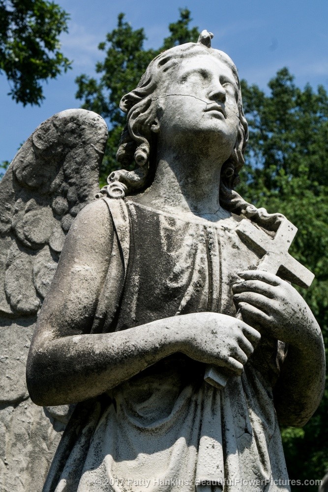 Graveyard Angel,  Sleepy Hollow Cemetery, Sleepy Hollow, NY  © 2017 Patty Hankins