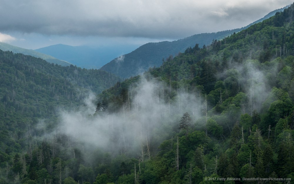 Mountains and Clouds in the Smokies © 2017 Patty Hankins