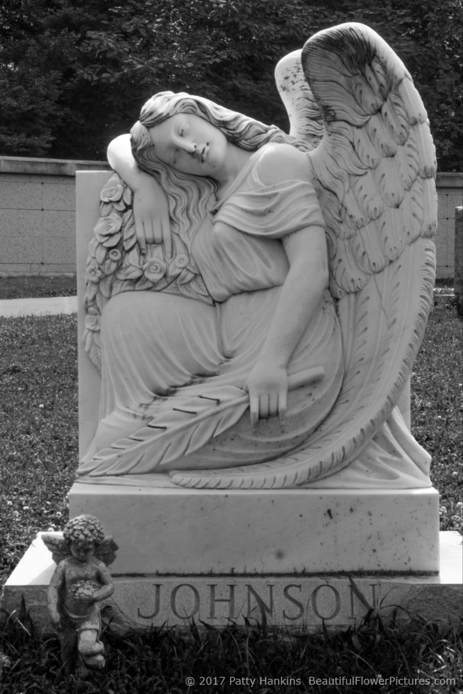 Johnson Grave, Hollywood Cemetery, Richmond, Virginia © 2017 Patty Hankins