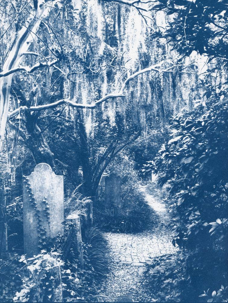 In the Cemetery Cyanotype © 2017 Patty Hankins