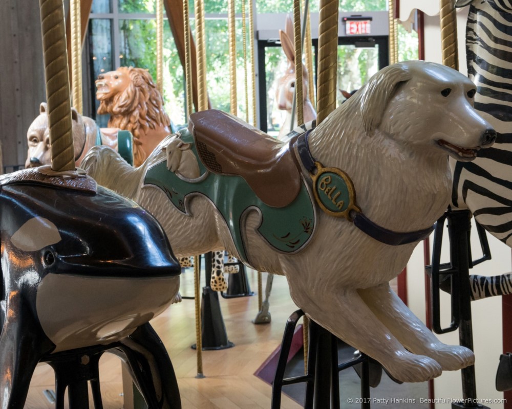 Carousel Dog, Rose Carousel, Butchart Gardens, Victoria BC © 2017 Patty Hankins