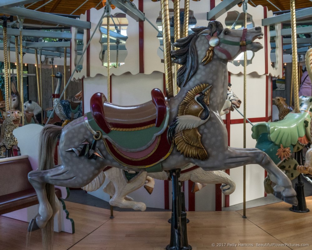 Carousel Horse, Rose Carousel, Butchart Gardens, Victoria BC © 2017 Patty Hankins