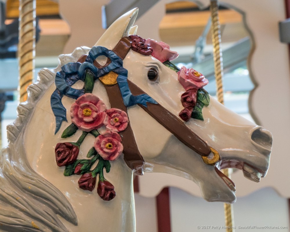 Carving Detail, Carousel Horse, Rose Carousel, Butchart Gardens, Victoria BC © 2017 Patty Hankins