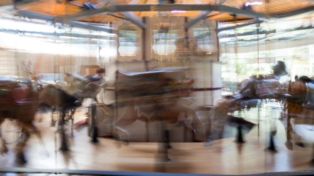 Rose Carousel in Motion, Butchart Gardens, Victoria BC © 2017 Patty Hankins